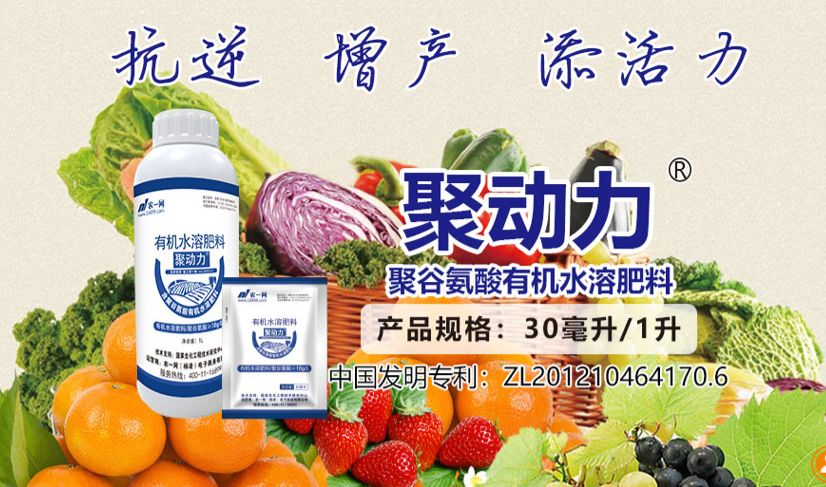 肥料檢出植物生長(zhǎng)調(diào)節(jié)劑最高可處20倍罰款，聚谷氨酸或成安全增效新選擇
