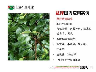 生農(nóng)益澤酯化植物油增效劑應(yīng)用案例解析 提升農(nóng)藥效能的關(guān)鍵助力