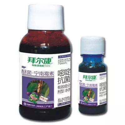 盆景花卉常見殺菌劑與植物增效劑的優劣性對比與應用指南
